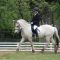 2017-06-24-gehorsam041