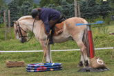 Gymkhana