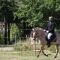2014-06-21-gehorsam_060