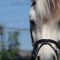 2014-06-21-springen_110