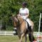 2015-06-26-gehorsam005