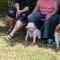2015-06-26-gehorsam043