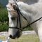 2015-06-26-gehorsam069_1