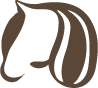 Konto
