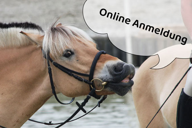 online anmeldung